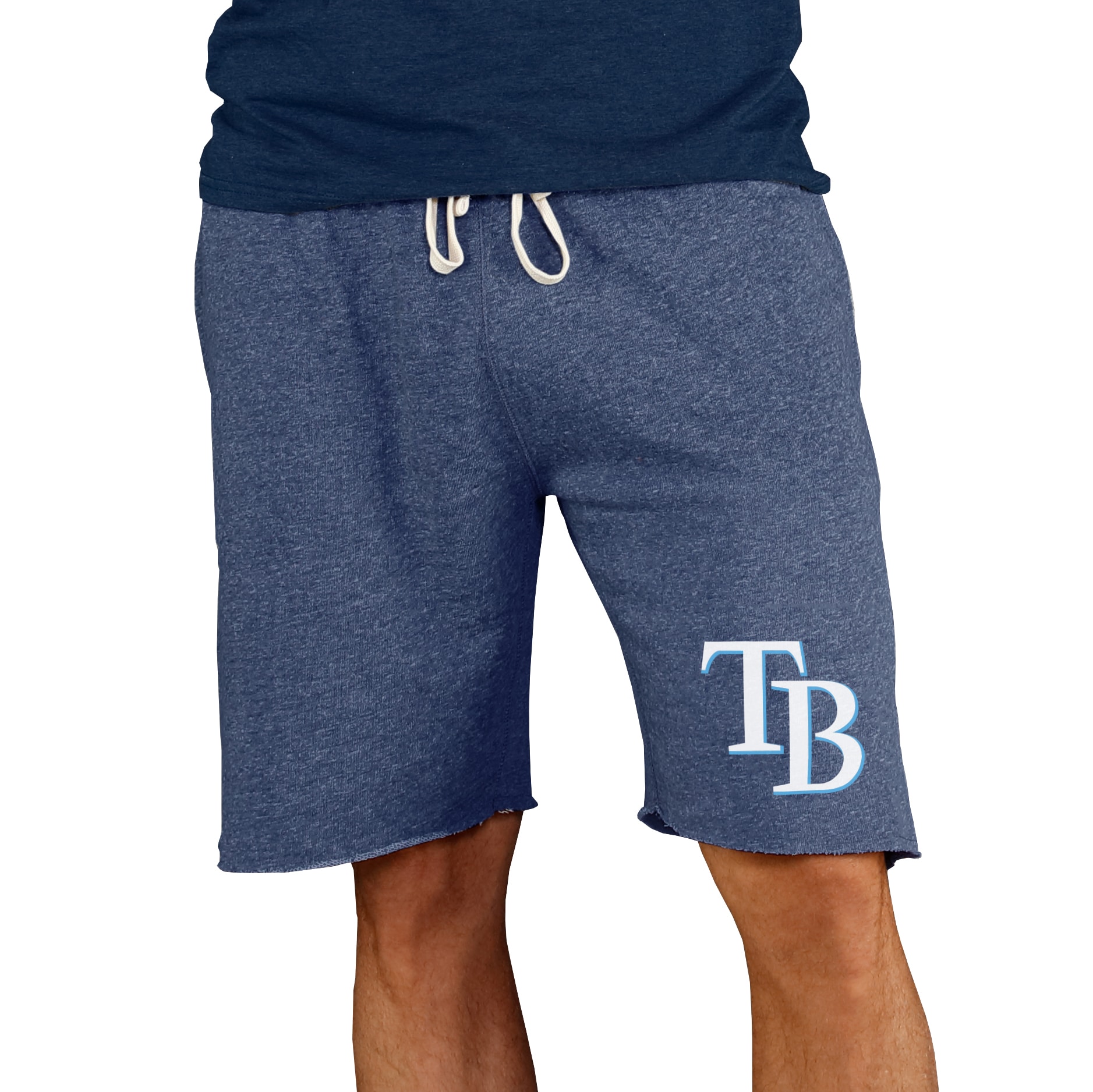Men's Tampa Bay Rays Concepts Sport Navy Mainstream Terry Shorts